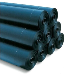 107876-image0--mm800x600